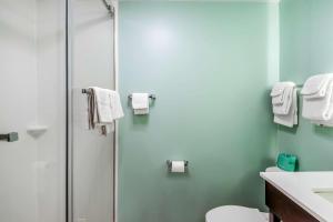 a bathroom with a shower and a toilet and a sink at Quality Inn & Suites in Lincoln