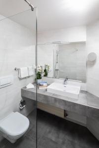 東蒂羅爾地區馬特賴的住宿－魯特酒店，一间带水槽、卫生间和镜子的浴室