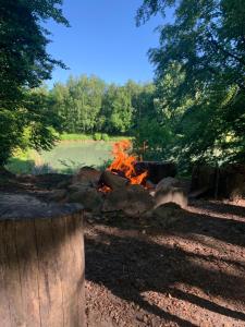 a fire pit in the woods next to a lake at Farm Stay Happy Dogs Ranch in Veberöd