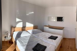 Posteľ alebo postele v izbe v ubytovaní Apartman Hechlstein v Tauplitz
