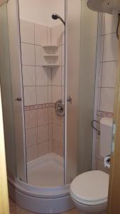 Koupelna v ubytování Apartmani Milenko Lubenice