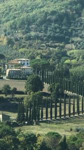 Letecký snímek ubytování Amazing Tuscan Villa