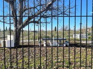 A garden outside COMPLEJO RURAL TORRES Y NAVAS