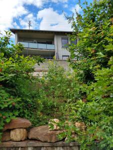 a house in the background with plants in the foreground at Ferienhaus Fräulein Frenz in Bollendorf