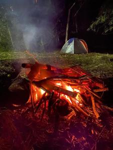 a camp fire with a tent in the background at Pousada Toca da Coruja in Bonito