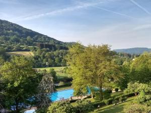 a view of a river with trees and mountains at Ferienhaus Fräulein Frenz in Bollendorf