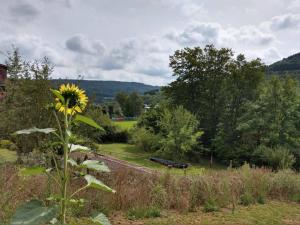 un tournesol au milieu d’un champ dans l'établissement Ferienhaus Fräulein Frenz, à Bollendorf