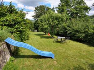 eine blaue Rutsche im Gras neben einem Tisch in der Unterkunft Ferienhaus Fräulein Frenz in Bollendorf