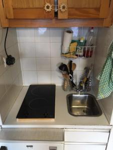 eine Küchentheke mit Spüle und Spüle in der Unterkunft Résidence Les Ecrins in Les Orres
