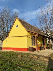 żółty i czerwony dom z dachem gambrel w obiekcie Het Hongaarse Wijnhuis w mieście Mohacz +15 zdjęć