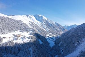 an aerial view of a mountain with snow and trees at Berghotel & Gasthof Marlstein in Oetz