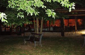Zahrada ubytování Agriturismo Torrazzetta