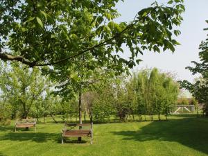 Zahrada ubytování Agriturismo Torrazzetta