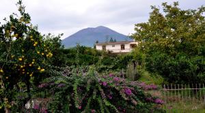 Nespecifikovaný výhled na hory nebo výhled na hory při pohledu z bed and breakfast