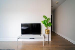 a tv on a white table with a potted plant at Comfy and Complete Studio Apt near Boystown - Oakdale 317 rep in Chicago