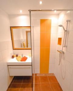 a bathroom with a shower and a sink at Haus Wöhrer / Appartement Fischbacher in Schladming