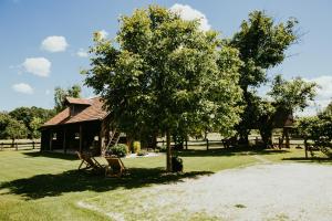 Zahrada ubytování Treehouse Drevesna hiška Štrkovo gnezdo Ranč Jureš