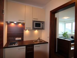 eine Küche mit einer Spüle und einer Mikrowelle in der Unterkunft Apartments Schloß-Weißenstein-Straße in Matrei in Osttirol