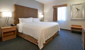 a hotel room with a large bed and a window at Holiday Inn & Suites Chihuahua Expo by IHG in Chihuahua