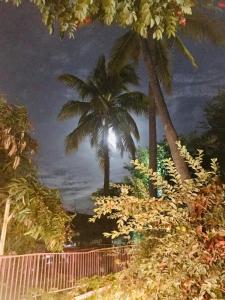 Zahrada ubytování Hotel Posada Señor Mañana
