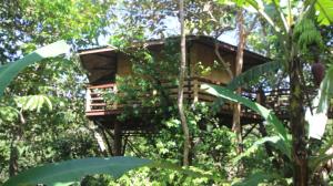 TREEHOUSE PILON PAVONESにある庭