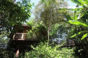 TREEHOUSE PILON PAVONESにある庭