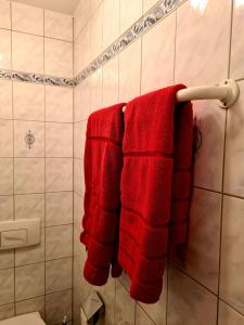 a bathroom with red towels hanging on a towel rack at Evi's Apartment in Regensburg +8 photos