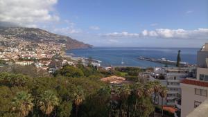 a view of a city and the ocean from a hill at Garden's Apartment in Funchal