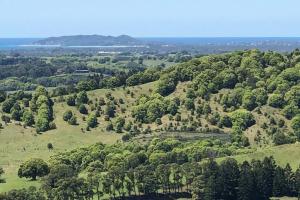 an overhead view of a green hill with trees at Byron's Secret in Coorabell Creek