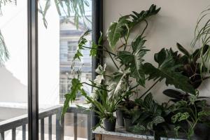 un montón de plantas en macetas sentadas en el alféizar de una ventana en B House Samui, en Bangrak Beach