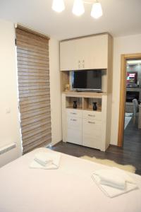 una camera da letto con un letto con una tv e un tvicterictericterictericter di Apartman Kalina Suncani Breg a Kopaonik