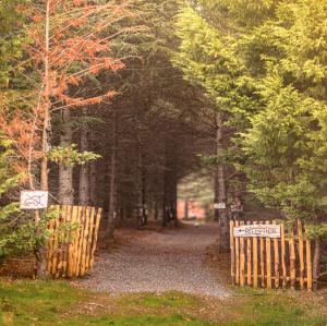 Una puerta de madera en un bosque con un cartel. en Domaine de la Vitarelle Glamping, en Villanière