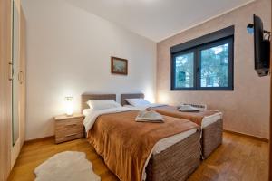 1 dormitorio con 2 camas y ventana en Apartment Imperial in Vila Pekovic Green, en Zlatibor
