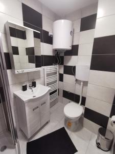 een badkamer met een toilet, een wastafel en een spiegel bij Crni bor in Divčibare