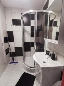 een badkamer met een douche en een witte wastafel bij Crni bor in Divčibare