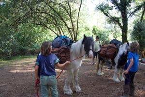 The Ancient Trails Company