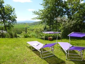 two lounge chairs and a table in the grass at Villa Righino in Murlo
