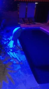 una piscina con luces azules alrededor en Casa da Tatá, en Búzios