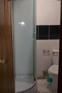 a bathroom with a glass shower with a toilet at Synevyrskyj Chardash in Synevyr