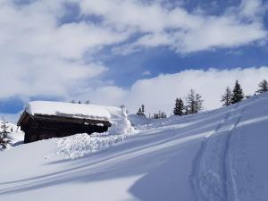 Chalet Biene - Swiss Alp Chalet with Sauna and Jacuzzi talvel