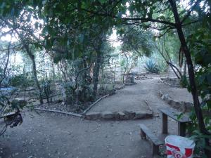 a park with a bench and trees and a path at Camping Terra do Nunca in Alto Paraíso de Goiás