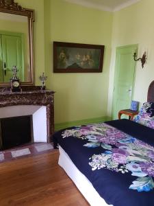 um quarto com uma cama e uma lareira em Chez Louise em Albi