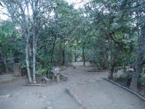 a picnic table in the middle of a forest at Camping Terra do Nunca in Alto Paraíso de Goiás