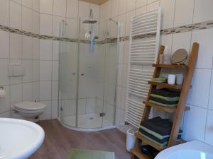 a bathroom with a shower and a toilet and a sink at Ferienwohnung Lichtblick in Friesenheim +22 photos
