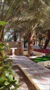 Gallery image of Bidiya oasis in Al Raka