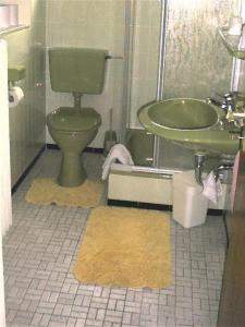 ビューズムにあるFerienhaus-ANNE-FW-4のバスルーム(緑のトイレ、シンク付)
