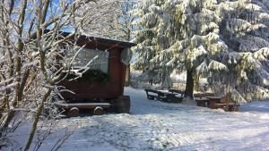eine Hütte im Schnee mit Bänken und Bäumen in der Unterkunft Bungalow in Hermsdorf