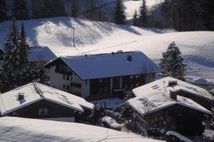 Sport-Alpin-Wohnung-5 v zimě