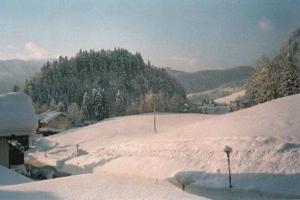 um campo coberto de neve com árvores à distância em Sport-Alpin-Wohnung-5 em Oberstdorf