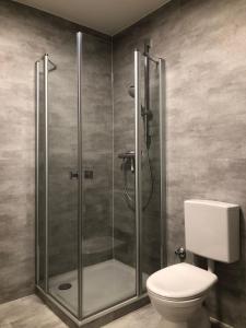 een badkamer met een douche en een toilet bij Sport-Alpin-Wohnung-4 in Oberstdorf